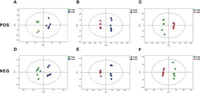 Serum metabolic profiling of rats infected with Clonorchis sinensis using LC-MS/MS method